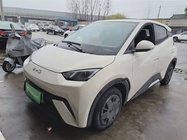 BYD Seagull 2024