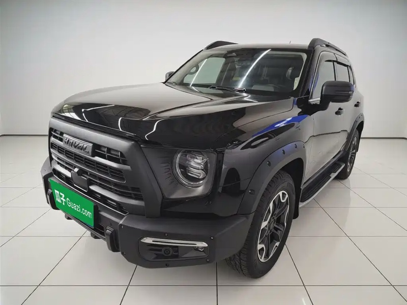 Haval Big Dog