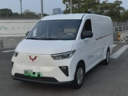 Wuling Yangguang 2024