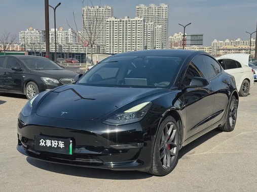 Tesla Model 3 2021