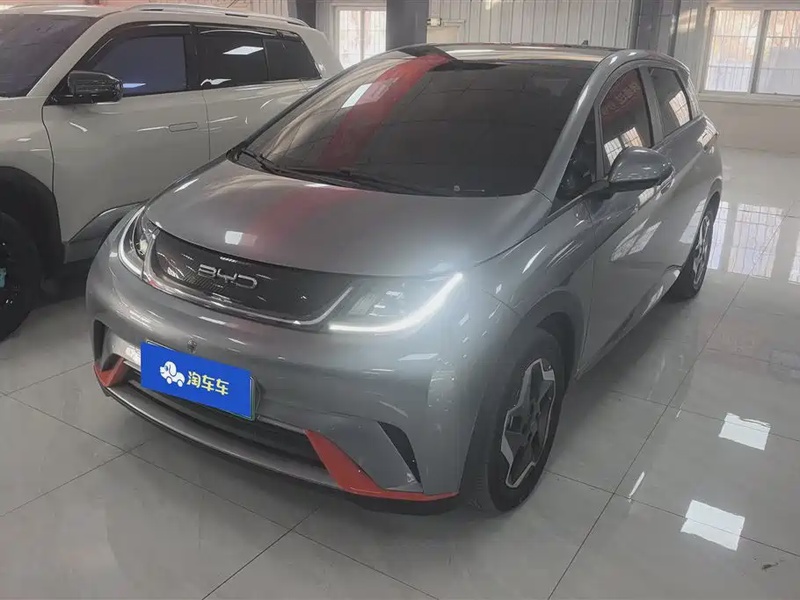 BYD Dolphin
