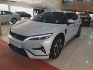 BYD L 2024