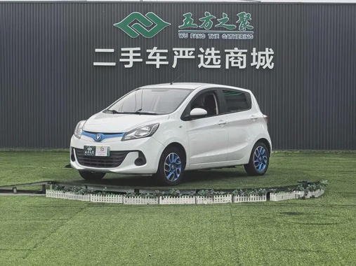 Changan EV 2019