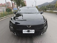 Wuling Xingguang 2024