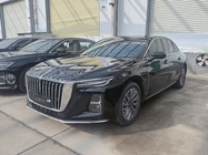 Hongqi H5 2025