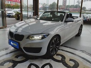 BMW 2 Series 2019