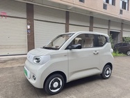 Wuling Mini 2025