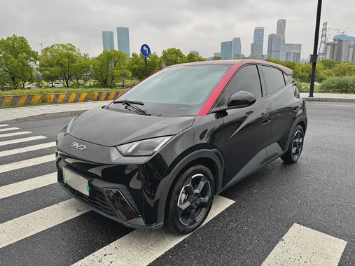 BYD Seagull 2024
