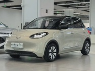 Wuling Bingo 2024