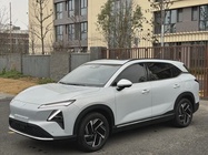 Wuling Xingguang 2024