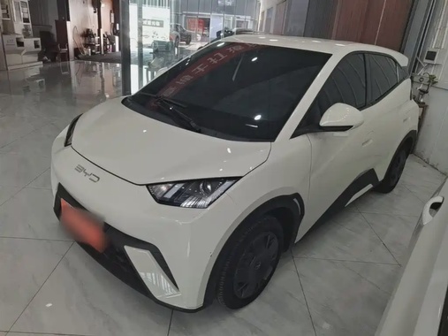 BYD Seagull 2024