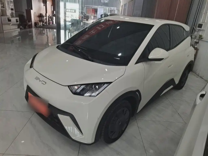 BYD Seagull