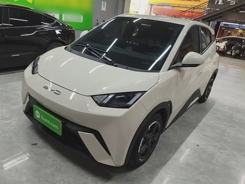 BYD Seagull