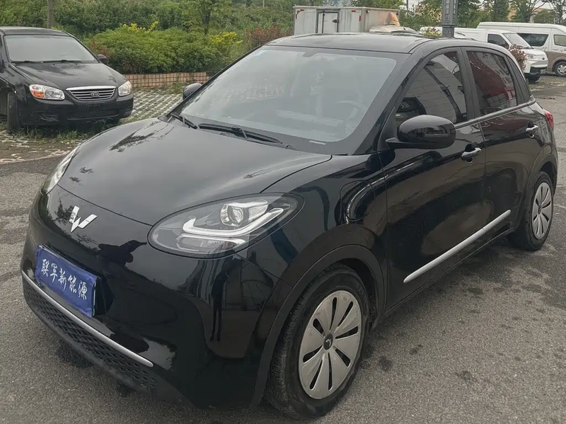 Wuling Bingo