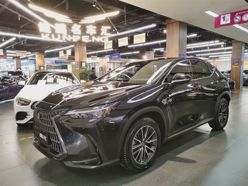 Lexus NX 2023