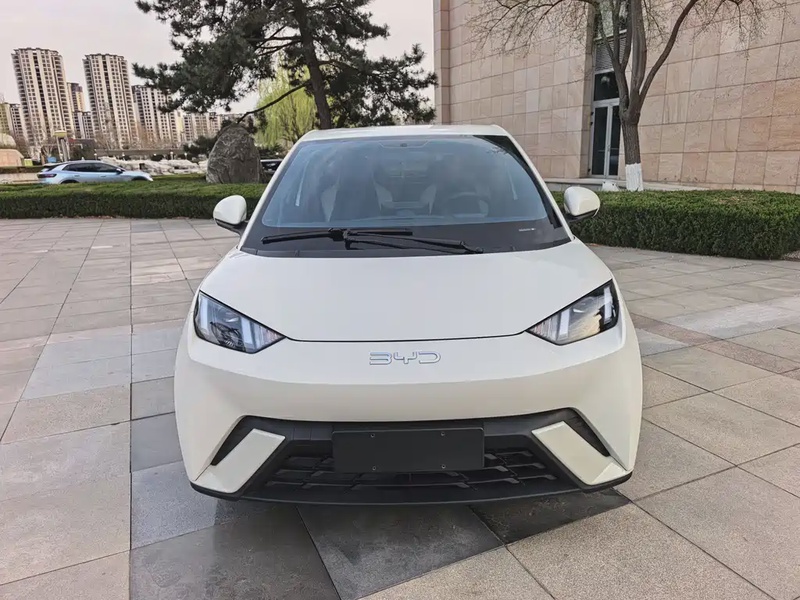 BYD Seagull