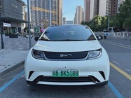 BYD Dolphin 2024