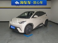 BYD Seagull 2024