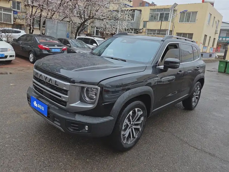 Haval Big Dog
