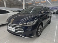 BYD MAX 2021