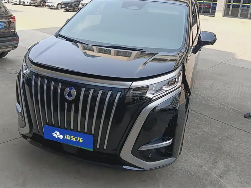 Denza D9