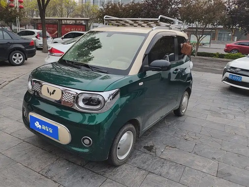 Wuling Mini 2024