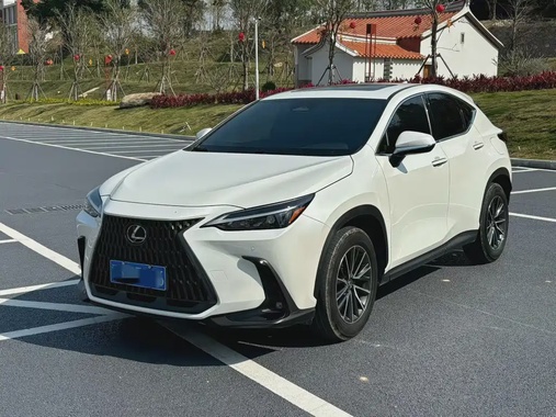 Lexus NX 2024