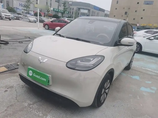 Wuling Bingo 2024