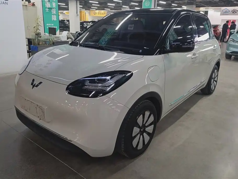 Wuling Bingo
