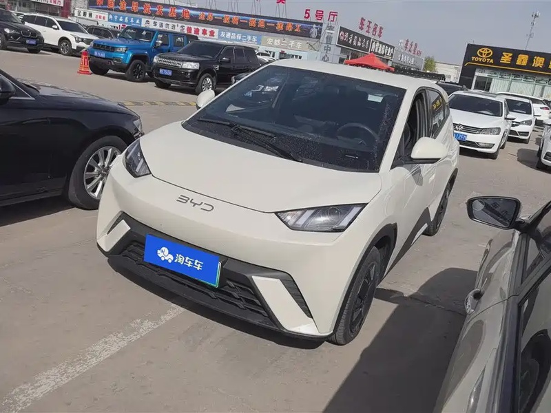 BYD Seagull