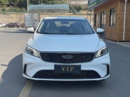 Geely Binrui 2021