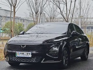 Wuling Xingguang 2024