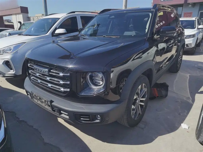 Haval Big Dog