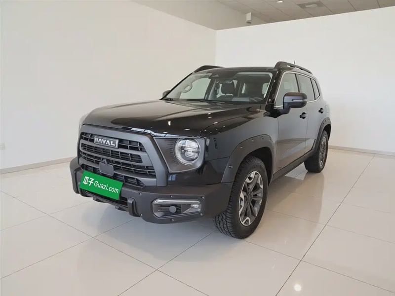 Haval Big Dog