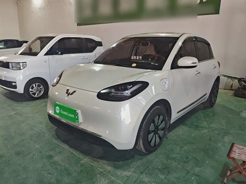 Wuling Bingo 2024
