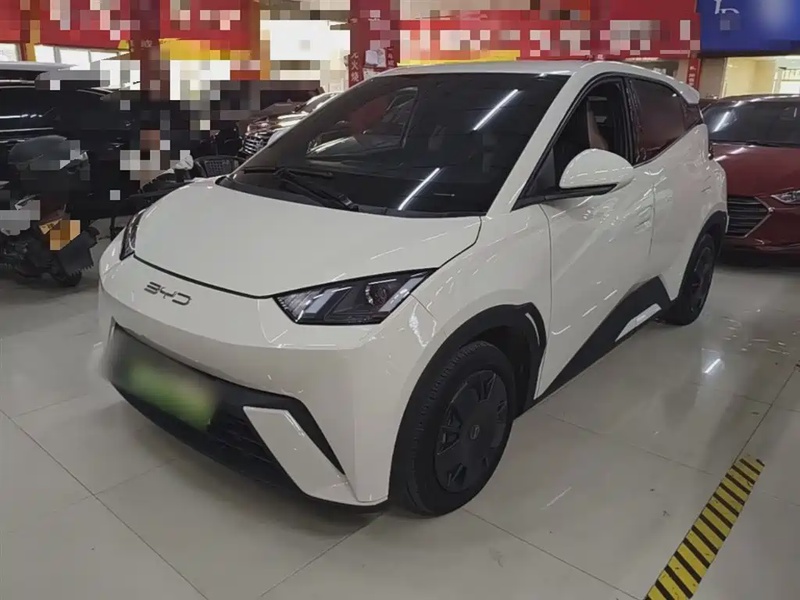 BYD Seagull