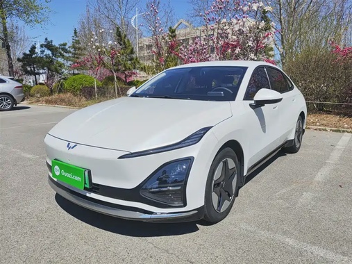 Wuling Xingguang 2024