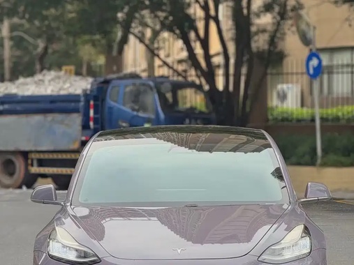 Tesla Model 3 2020