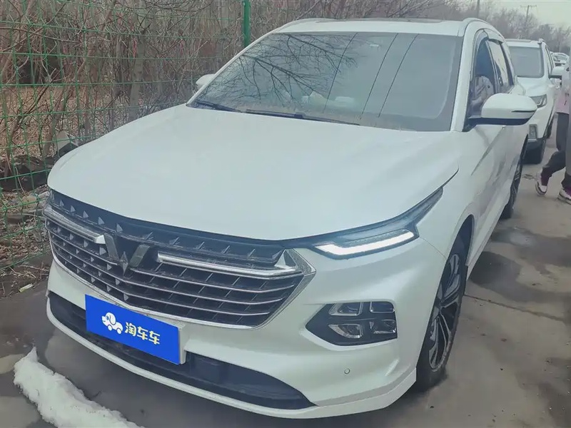 Wuling Victory