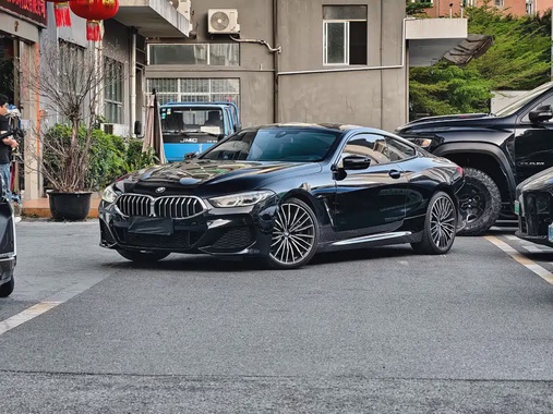 BMW 8 Series 2020