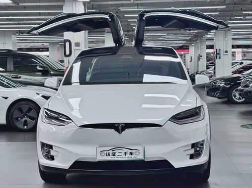 Tesla Model X 2020