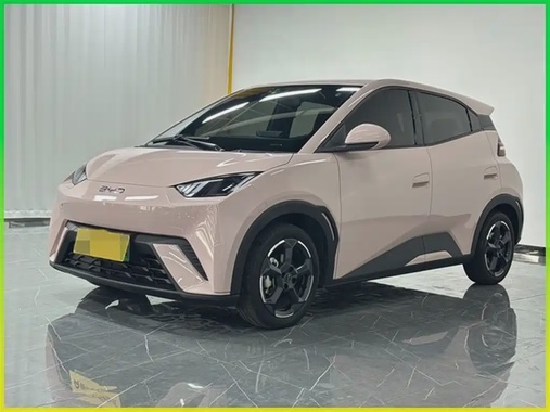 BYD Seagull 2024
