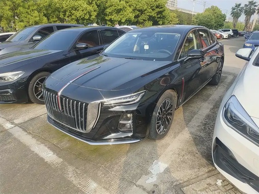 Hongqi H5 2024