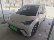 BYD Seagull 2024