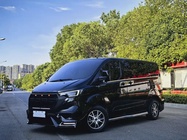 Ford Tourneo 2023