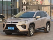 Toyota Wildlander 2020