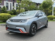 BYD Dolphin 2022