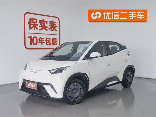 BYD Seagull 2024