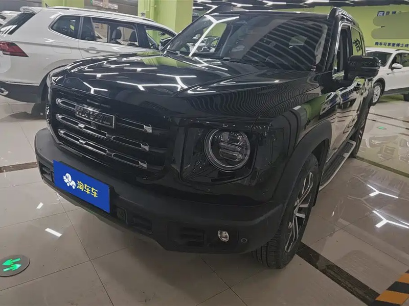 Haval Big Dog