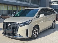 Buick GL8 2024